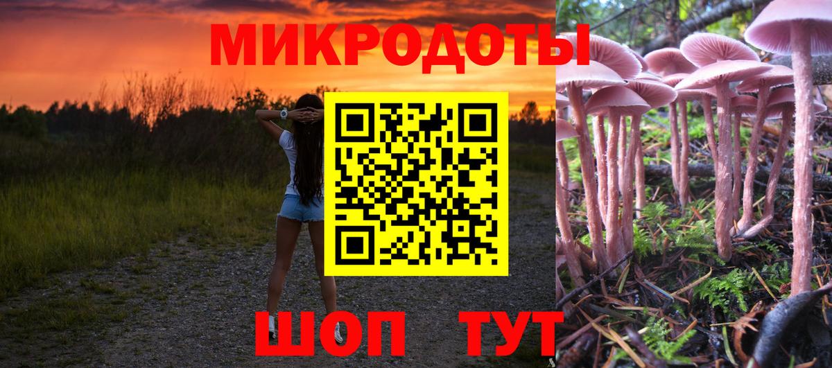 Галлюциногенные грибы Psilocybine cubensis Архангельск